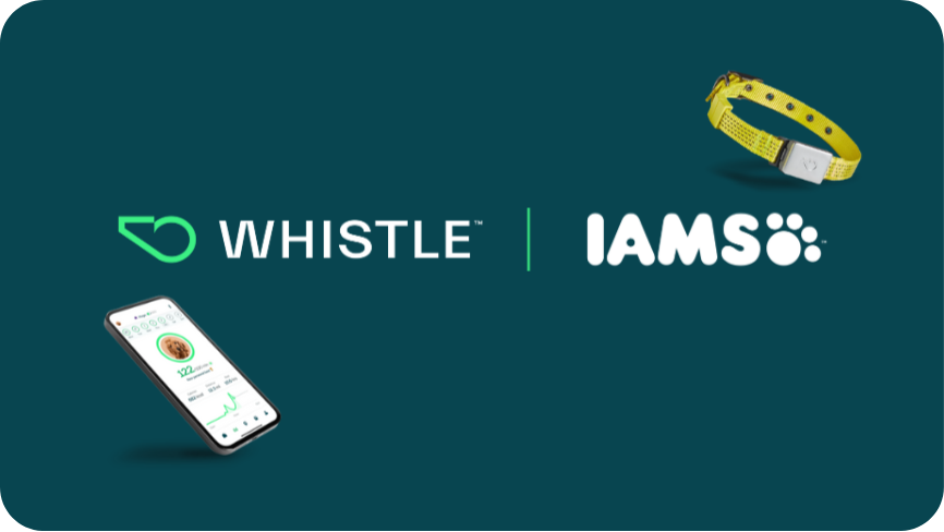 IAMS Whistle