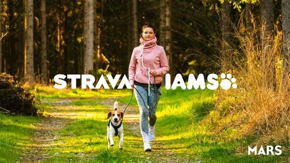 Mars and Strava Announce Partnership