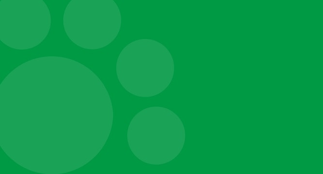 article-detail-banner-mob-new