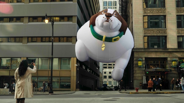 The IAMS™ Brand Gets Oversized Dog Balloon Stuck