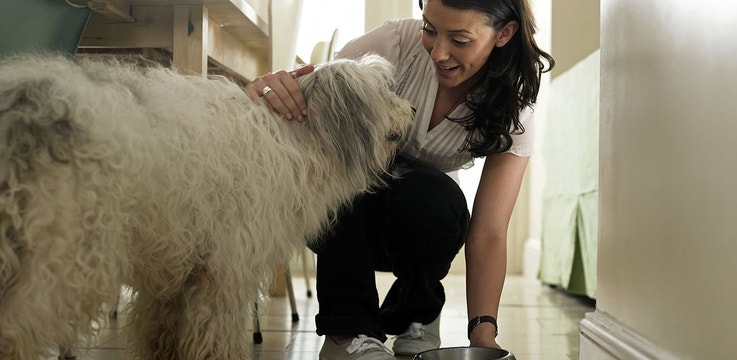 Proud pet parent feeding their dog delicious dry dog food