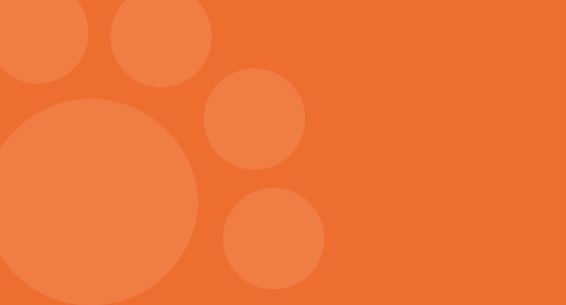 cat-article-banner