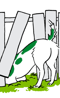 /sites/g/files/fnmzdf3396/files/2023-02/1-hole-in-the-fence.gif