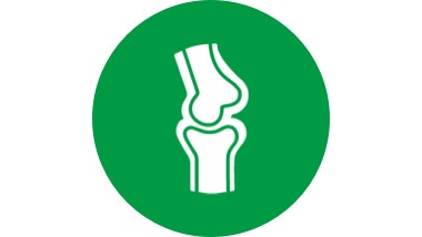 green icon of dog bones and joint