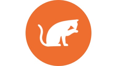 orange icon of cat licking hair