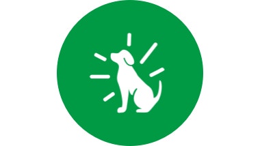 green icon of a dog with healthy skin and coat