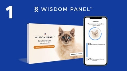 blue background with number 1, Wisdom Penal logo and Wisdom Panel DNA test showing on mobile phone, next to Wisdom Panel DNA test kit package