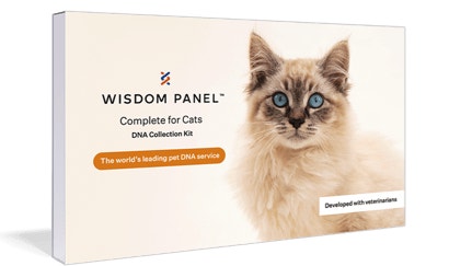Wisdom Panel DNA test kit package with cat on front