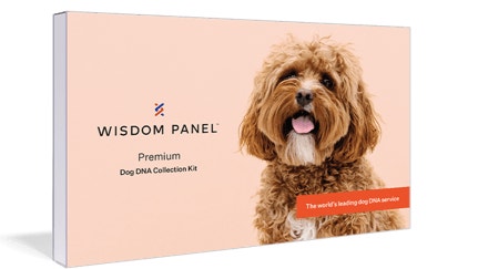 Wisdom Panel DNA test kit package with dog on front