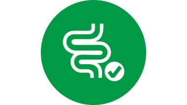 green icon of a dog digestive tract