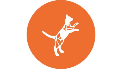orange icon of strong cat playing