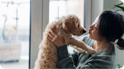 IAMS How to Track Your Puppy's Health in the First Year