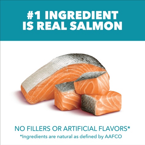 IAMS™ PROACTIVE HEALTH™ ADULT INDOOR WEIGHT & HAIRBALL CARE WITH SALMON image 1