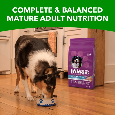 IAMS™ HEALTHY AGING LARGE BREED image 1