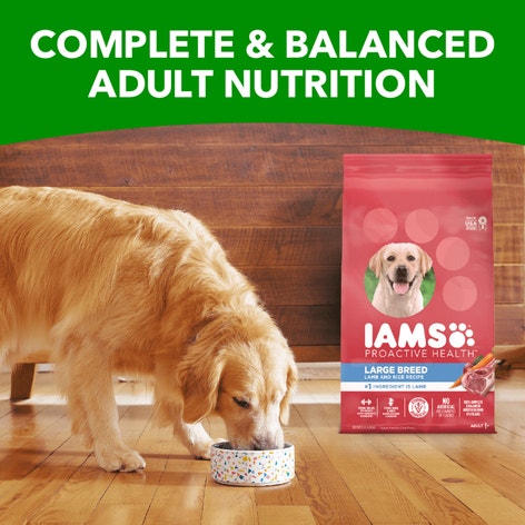 IAMS™ LARGE BREED LAMB & RICE image 1