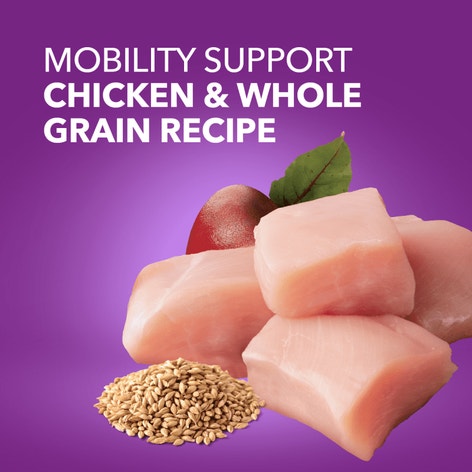 IAMS™ ADVANCED HEALTH™ MOBILITY SUPPORT image 1
