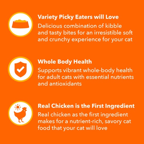 IAMS™ HEALTHY ENJOYMENT™ DRY CAT CHICKEN & SALMON image 1