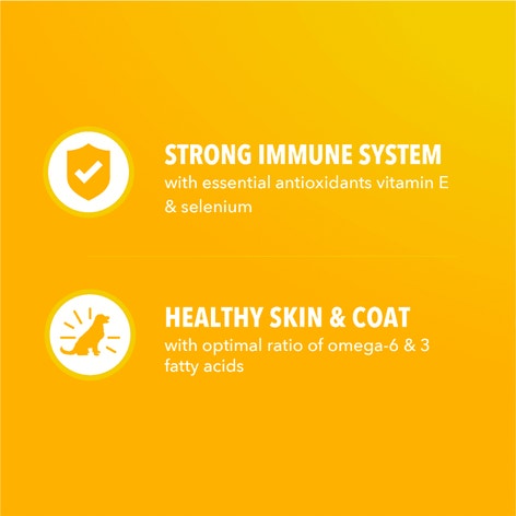 IAMS Proactive Health Dry Puppy Food Chicken, (4) 5 lb. Bags image 1