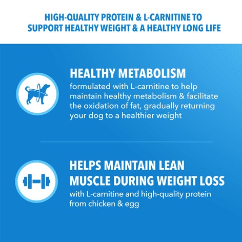 IAMS™ HEALTHY WEIGHT image 1