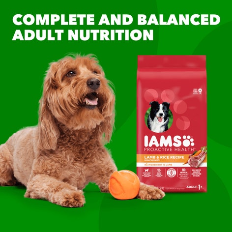 IAMS™ MINICHUNKS LAMB & RICE image 1