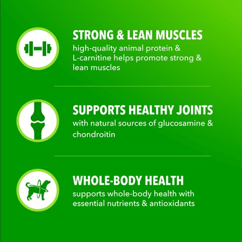 IAMS™ Proactive Health High Protein Chicken and Beef Dry Dog Food image 1