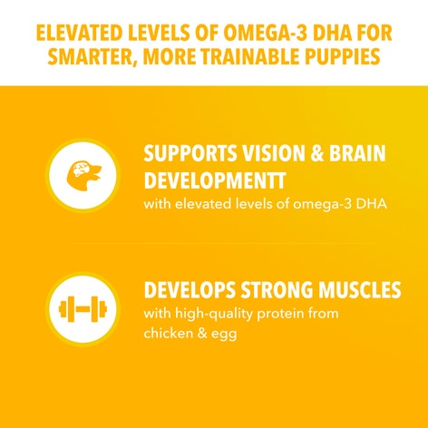 IAMS™ PUPPY LARGE BREED image 1