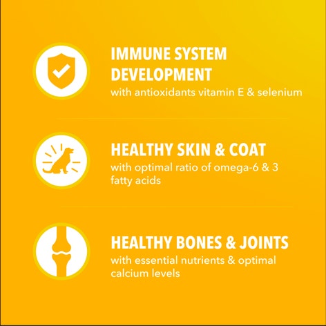 IAMS™ PUPPY SMALL BREED image 1