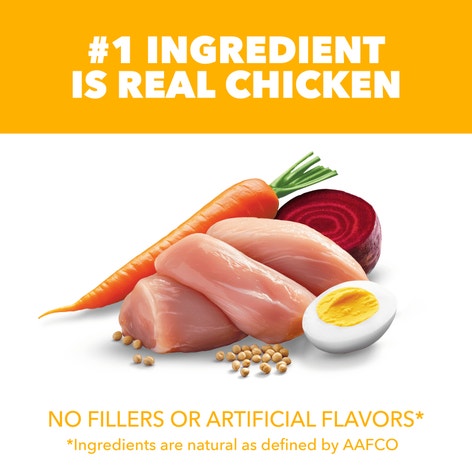 IAMS™ PUPPY image 1