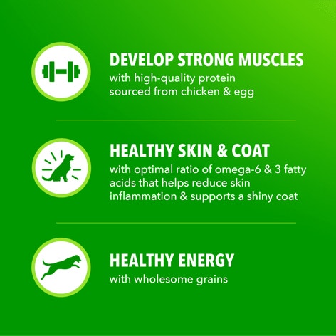 Proactive Health Large Breed Adult Chicken & Whole Grain Recipe Dry Dog Food image 1