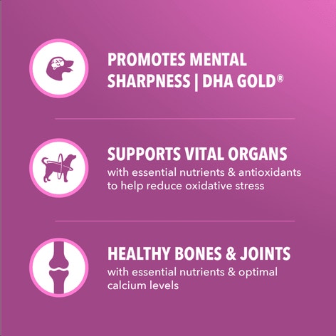 IAMS Proactive Health Healthy Aging Chicken & Whole Grain Recipe Dry Dog Food, (4) 5 Lb Bags image 1