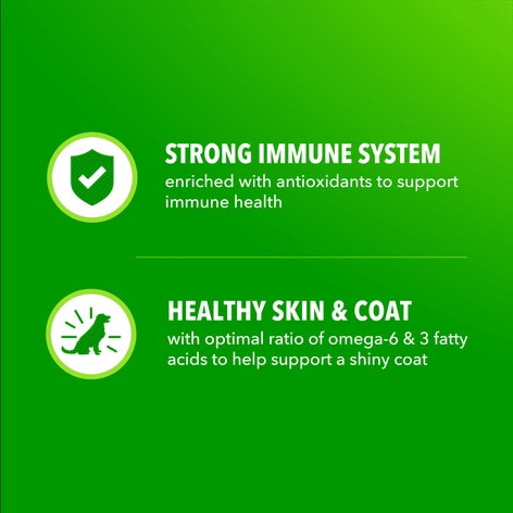 IAMS™ Proactive Health High Protein Chicken and Beef Dry Dog Food image 1