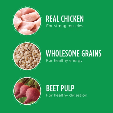 IAMS™ MINICHUNKS CHICKEN & WHOLE GRAINS image 1
