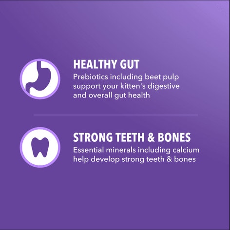 IAMS™ Proactive Health Salmon Dry Kitten Food Recipe image 1