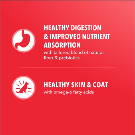 IAMS™ MINICHUNKS LAMB & RICE image 1