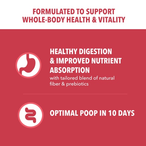 IAMS™ MINICHUNKS LAMB & RICE image 1