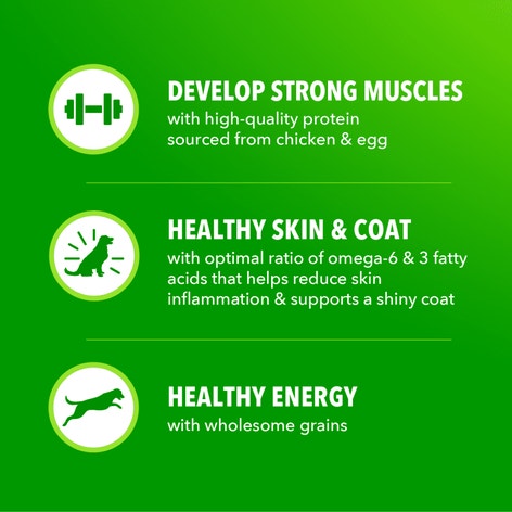 Proactive Health Large Breed Adult Chicken & Whole Grain Recipe Dry Dog Food image 1