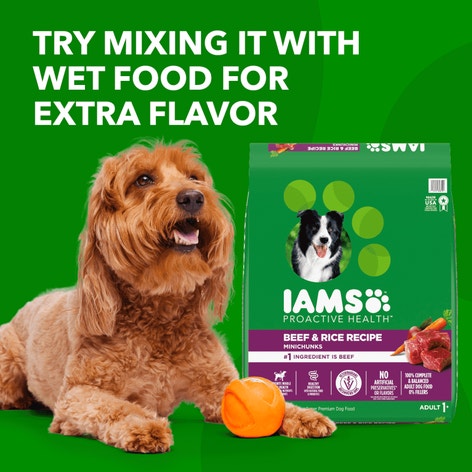 IAMS™ ADULT BEEF AND RICE image 1