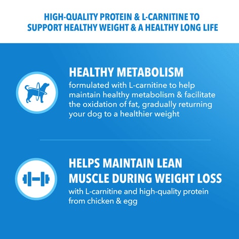IAMS™ HEALTHY WEIGHT image 1