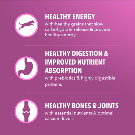 IAMS™ HEALTHY AGING image 1