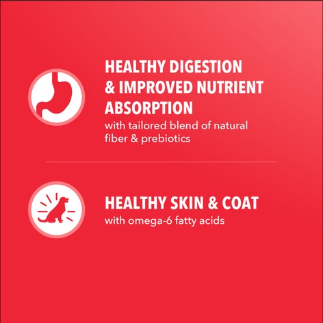 IAMS™ MINICHUNKS LAMB & RICE image 1