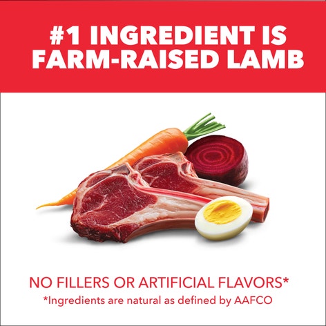 IAMS™ MINICHUNKS LAMB & RICE image 1