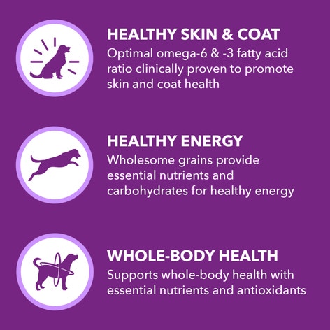 IAMS™ ADVANCED HEALTH™ SKIN & COAT image 1