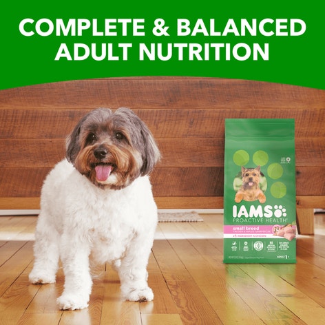 IAMS™ SMALL BREED image 1