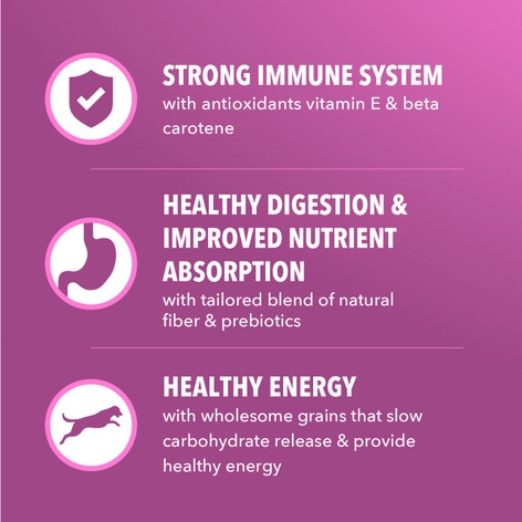 IAMS Proactive Health Healthy Aging Chicken & Whole Grain Recipe Dry Dog Food, (4) 5 Lb Bags image 1