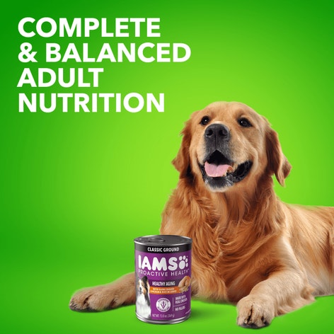 PROACTIVE HEALTH™ SENIOR WITH SLOW COOKED CHICKEN AND RICE CLASSIC GROUND image 1