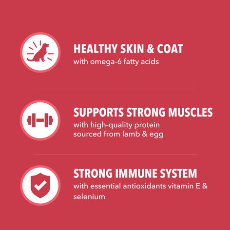 IAMS™ MINICHUNKS LAMB & RICE image 1