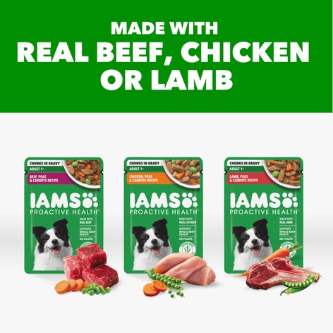 IAMS™ Proactive Health Adult Variety Pack Wet Dog Food image 1