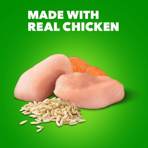 PROACTIVE HEALTH™ SENIOR WITH SLOW COOKED CHICKEN AND RICE CLASSIC GROUND image 1