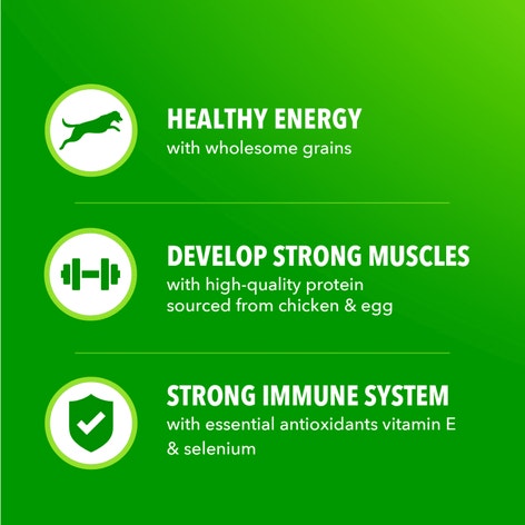 IAMS™ MINICHUNKS CHICKEN & WHOLE GRAINS image 1