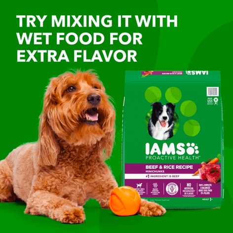 IAMS™ ADULT BEEF AND RICE image 1